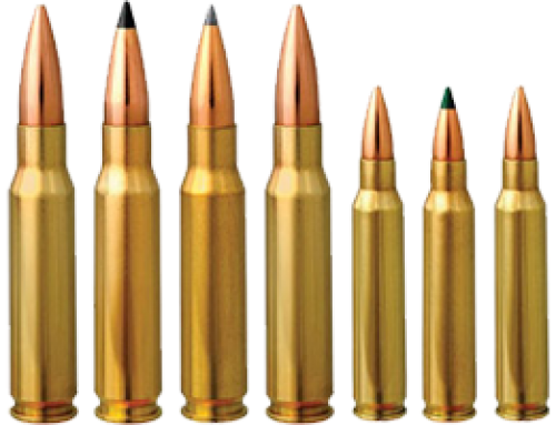 rifle ammo